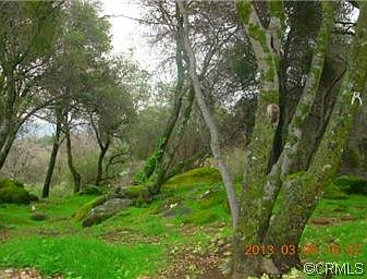 4th image of 56398 Road 200