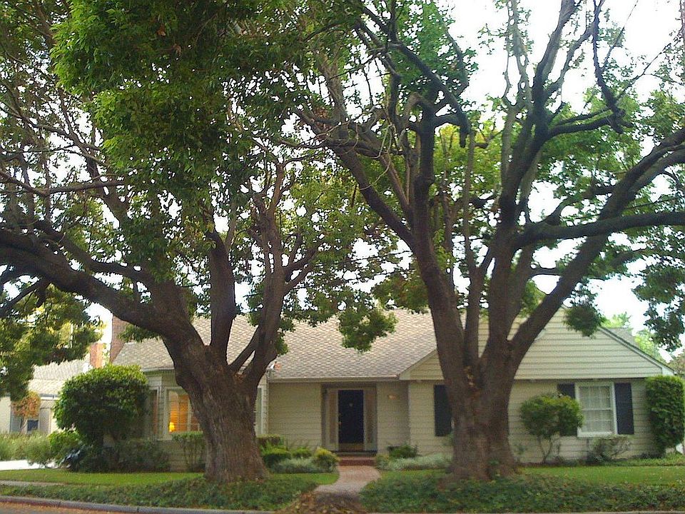 Tree lined avenue