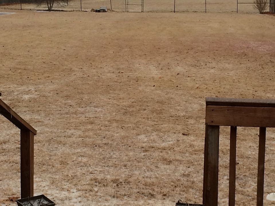 2nd image of 2405 Playground Rd
