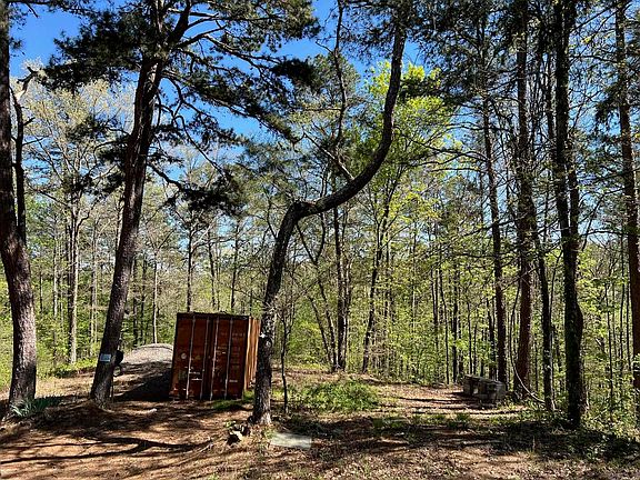 3rd image of 233 White Rd