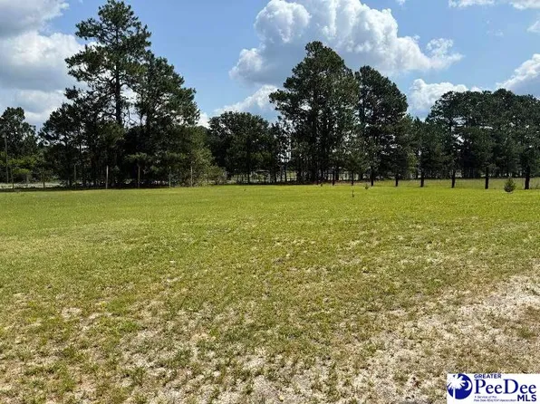 0 Winery Rd, Patrick, SC 29584