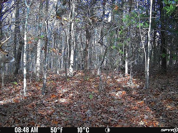 4th image of 23609 State Hwy N