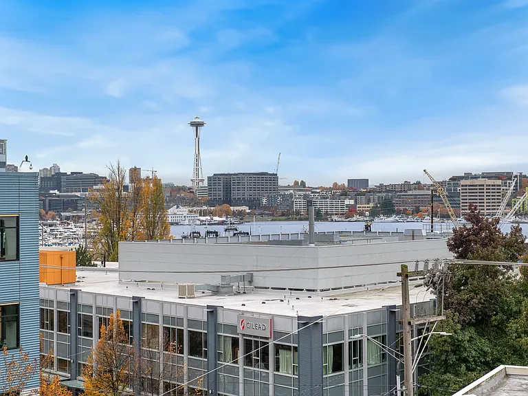 Lake Union Terrace — Photo 18