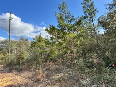 4608 Bobolink Way, Crestview, FL, 32539