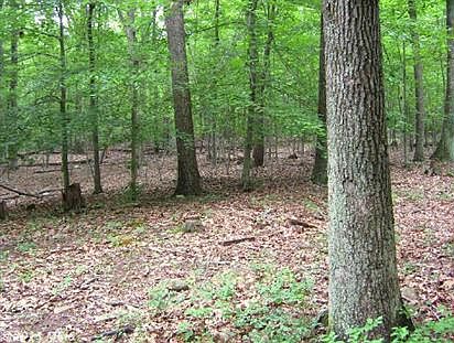 2nd image of 4252 Hungry Run Rd