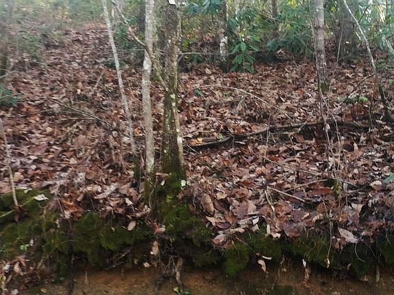 5th image of 0 Bear Paw Rd Lot 4