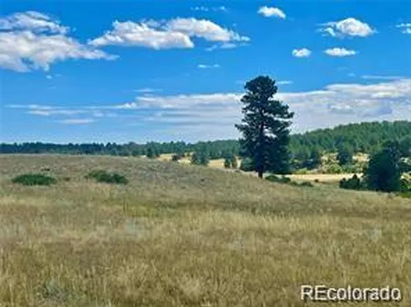 11726 CR 102, Elbert, CO 80116