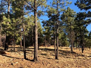 2781 Skyhook Rd, Pinetop, AZ 85935