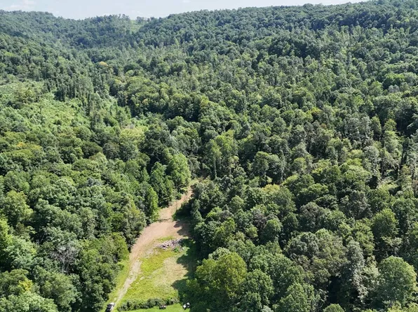0 Silicon Dr, Philippi, WV 26416