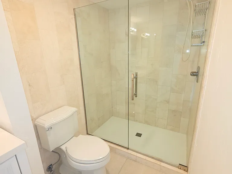 Master bathroom with walk in frameless shower.