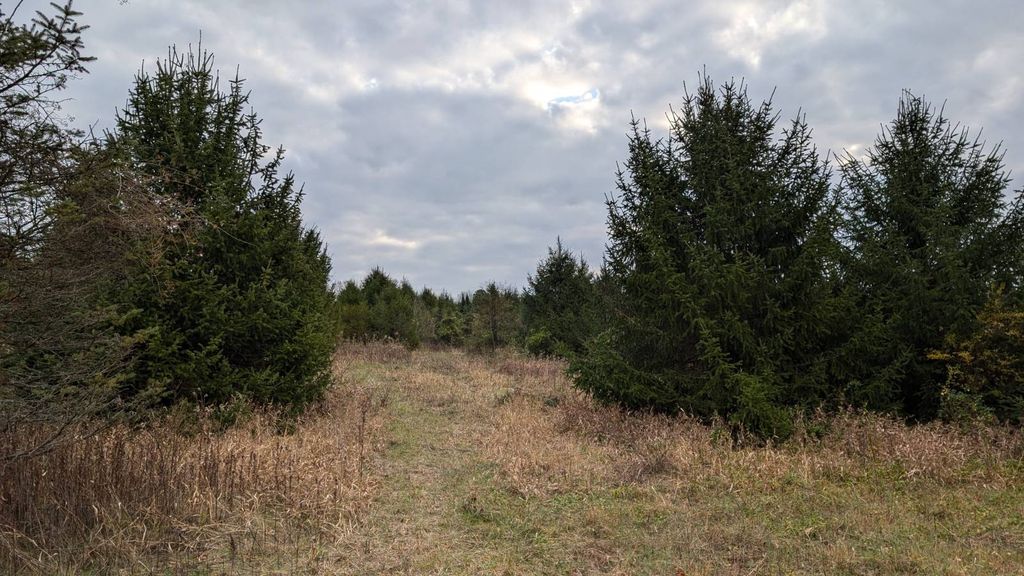 Real estate listing image