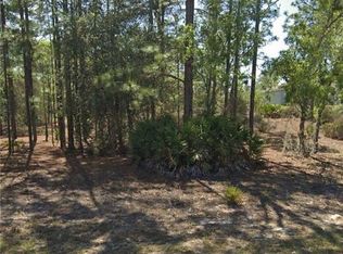 10549 N Caldera Ave, Citrus Springs, FL 34433