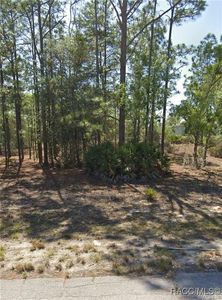 10549 N Caldera Ave, Citrus Springs, FL, 34433
