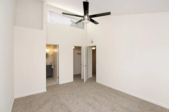 1702 Dolphin Dr — Photo 8