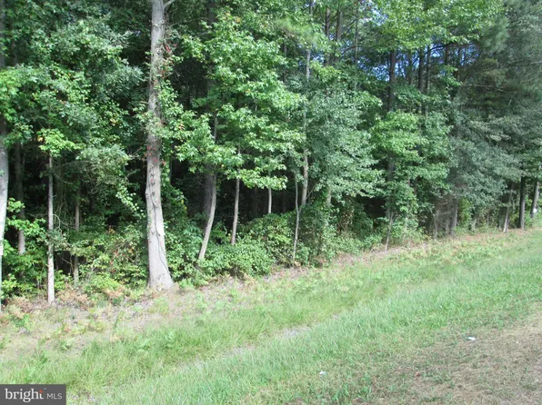 Route 313 Rd, Federalsburg, MD 21632