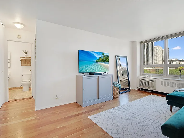 88 W Schiller St #703 — Photo 9