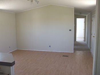 The Spacious Living Room