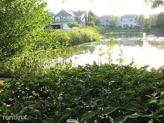 Pond View