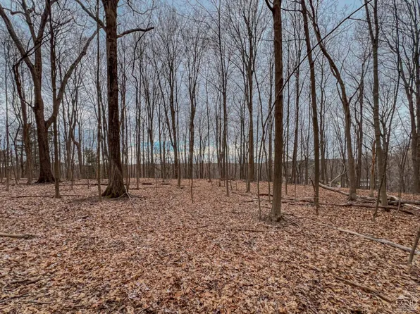 0 Bunker Hill, Schodack, NY 12123