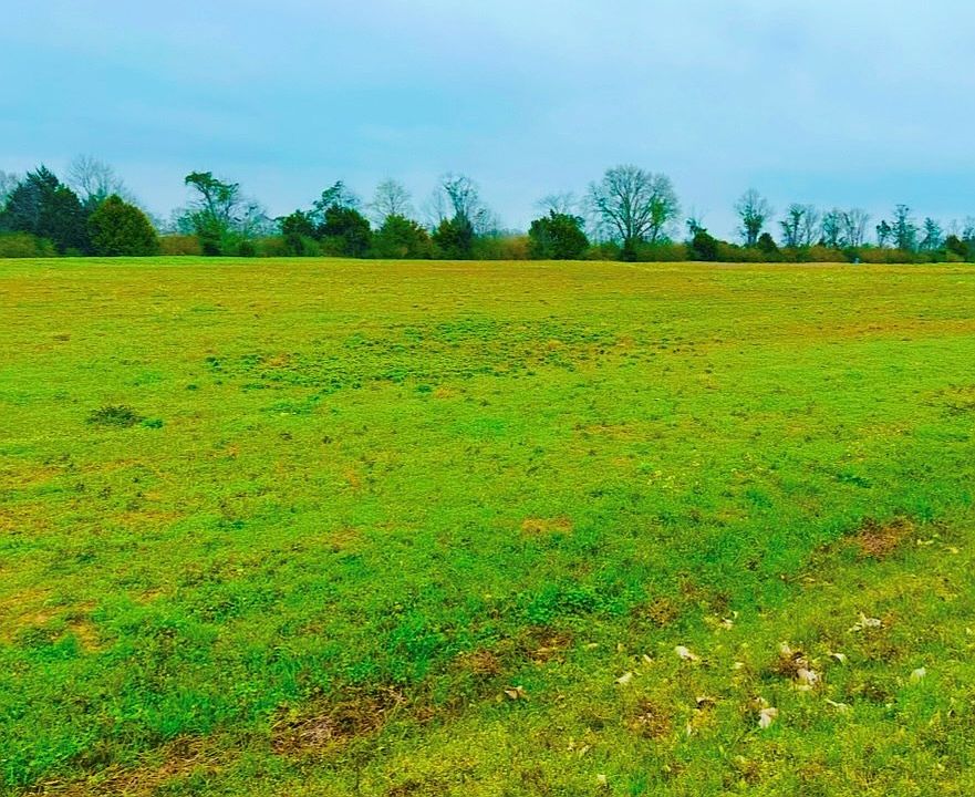 2nd image of 0 N County Road 49