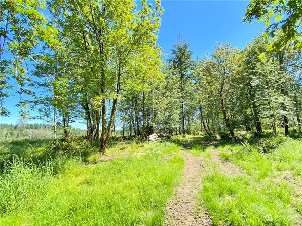 4271 Lot B SE Lynch Road, Shelton, WA 98584