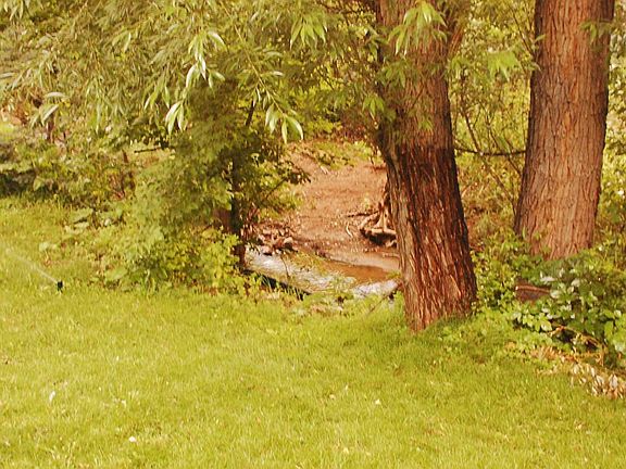 Suttton Creek runs along one edge of the property.