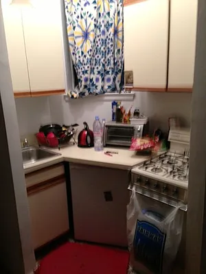 Rented by Eric Goodman Realty Corp | media 14