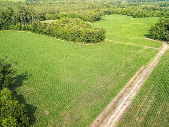 Swamp Fox Hwy E Lot Wp001, Tabor City, NC 28463