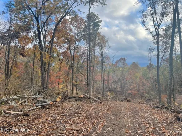 0 Cedar Grove Rd, Loudon, TN 37774