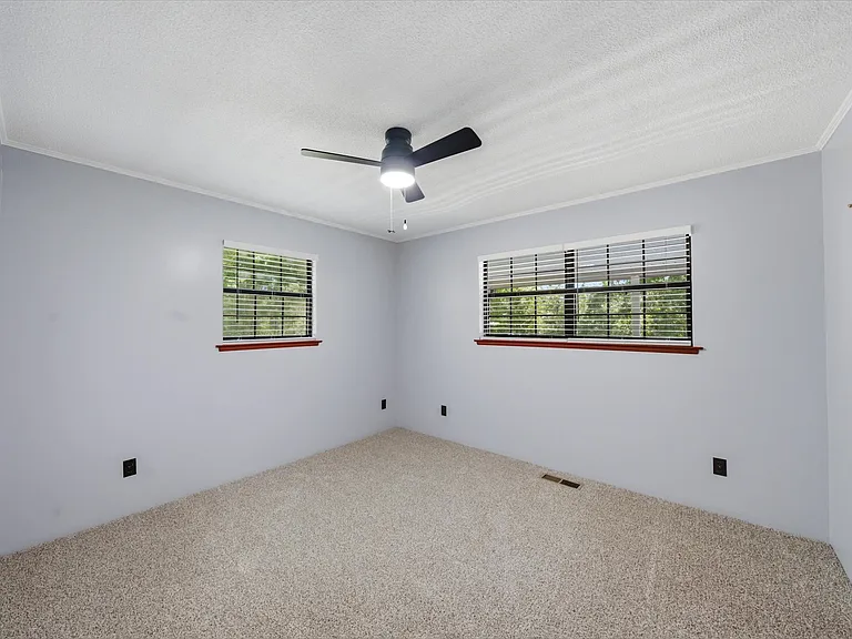 250 Goodfield Ck Rd — Photo 10