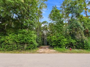 201 Lewis Ln, New Waverly, TX 77358