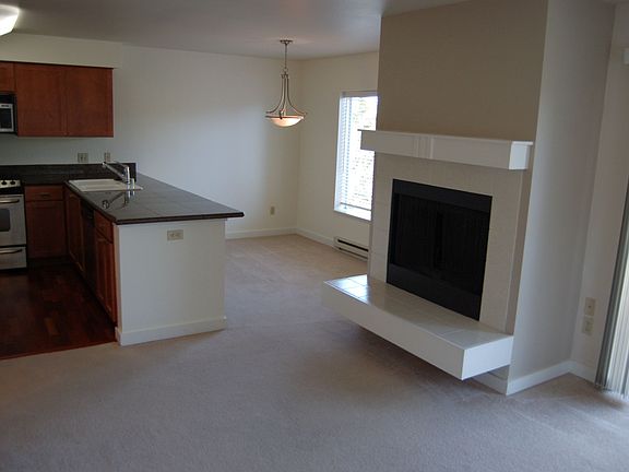 Wood burning fireplace