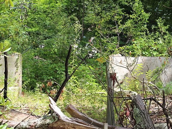 4th image of 343 Lake Shore Dr