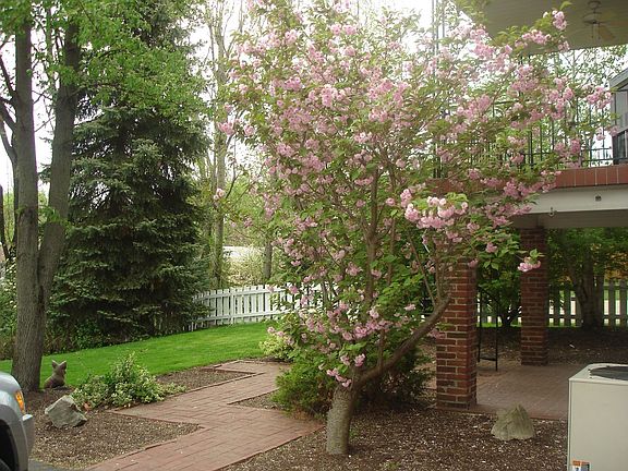 beautiful scenic yard with mature foliage