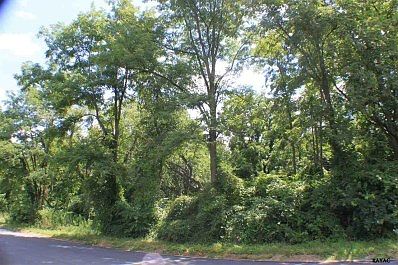 4th image of 39 Whispering Pines Dr