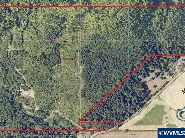 Marys River Rd, Blodgett, OR 97326