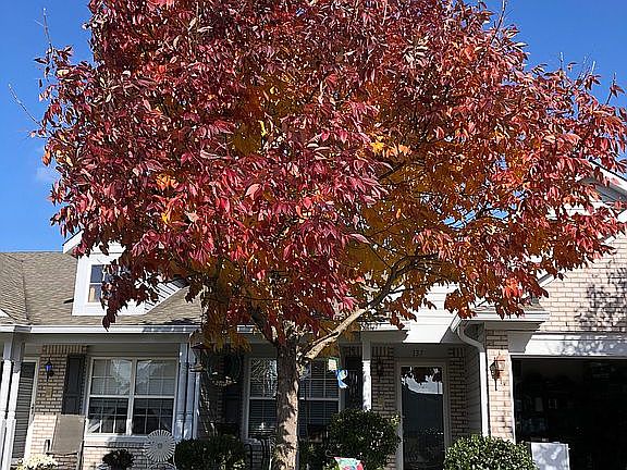 3rd image of 137 Clear Branch Dr