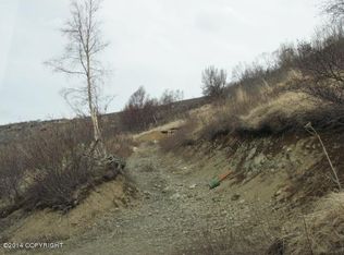 L5 & 6 B1 Canyon Rd, Anchorage, AK 99516