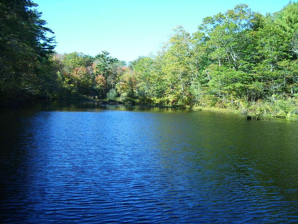 Private pond & 2 miles trails