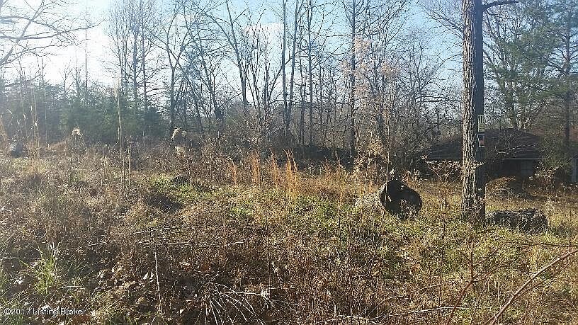 2nd image of 10106 Keys Ferry Rd