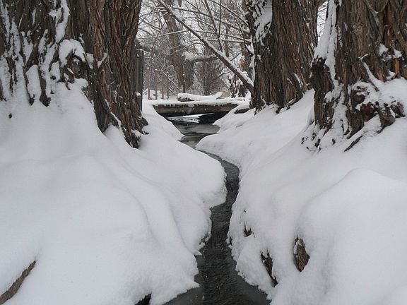 Picture from back yard