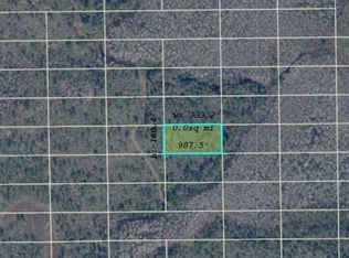 Dill Rd Lot 140, Orlando, FL 32820