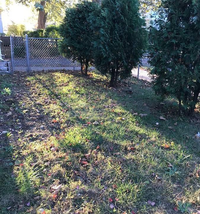 Front yard