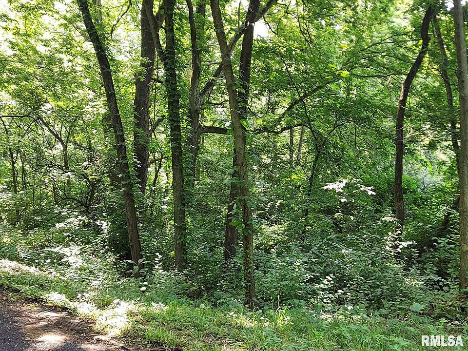 2nd image of 0 W Bristol Hollow Rd