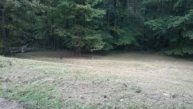 2nd image of 817 Mountain Leaf Dr