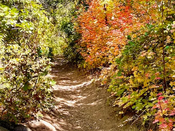 5028 S Ridgedale Dr E, Ogden, UT 84403