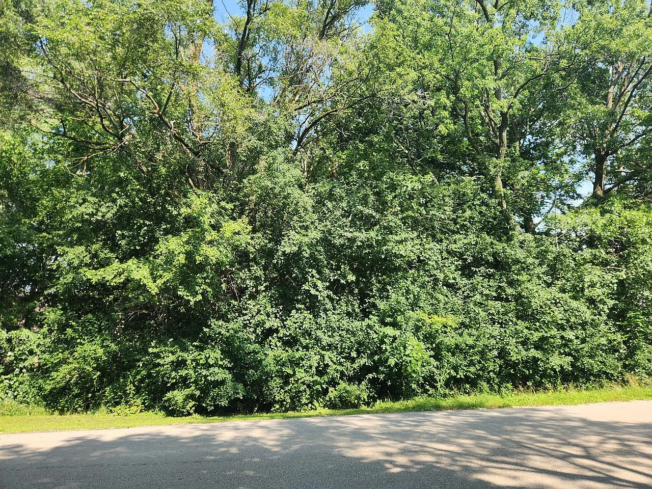 8517 HORIZON DRIVE photo 1