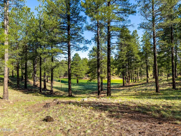 3647 S Woodland Hills Dr, Flagstaff, AZ 86005