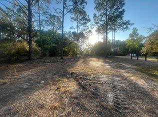 0 SW 204th Ave, Dunnellon, FL 34431