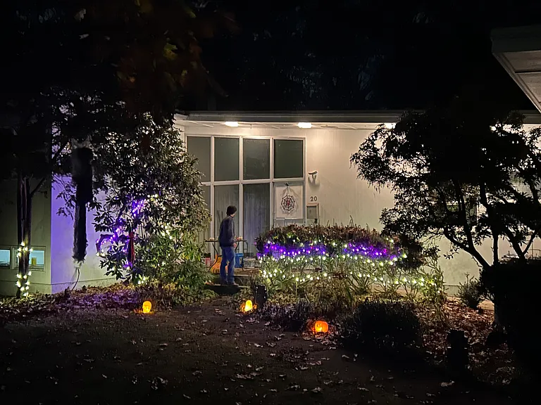 20 Greenleaf Dr — Photo 16
